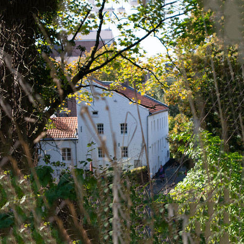 Settlement view
