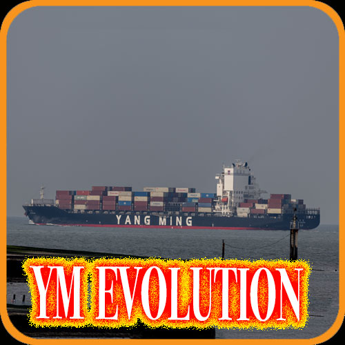 YM Evolution
