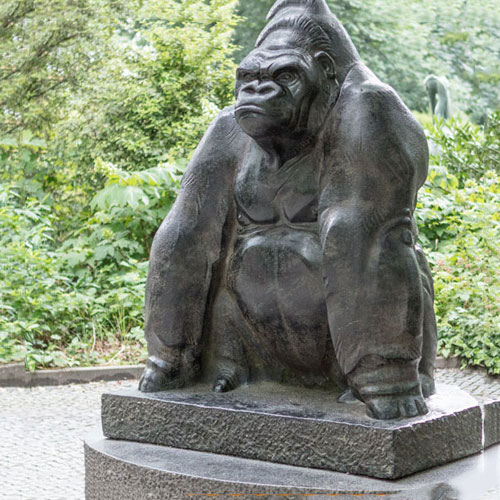 Zoo