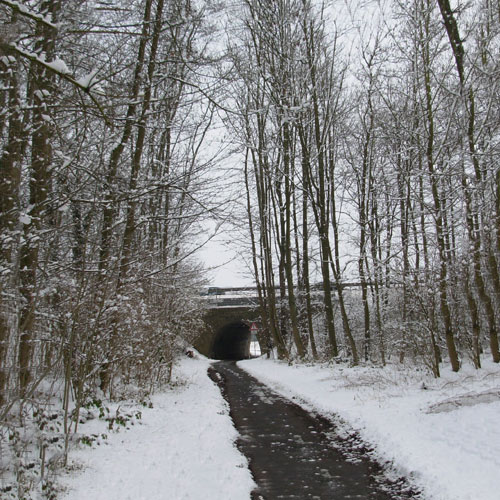Ohlinger Park